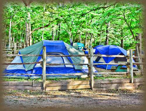 Dawt Mill camping