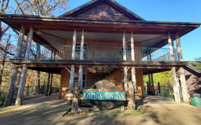 cotton-1-900-600 cotton-1-900-600