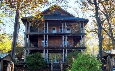 cotton-5-800-600 cotton-5-800-600