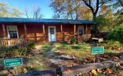 duplex cabin-1 duplex cabin-1