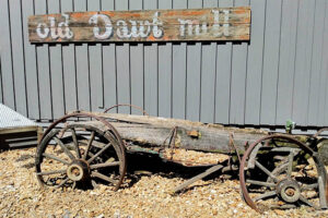 homepage-4 homepage-4